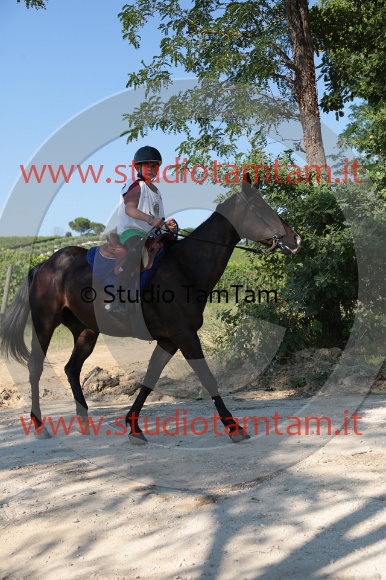 MAT_6185.JPG