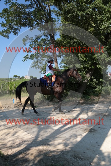 MAT_6187.JPG