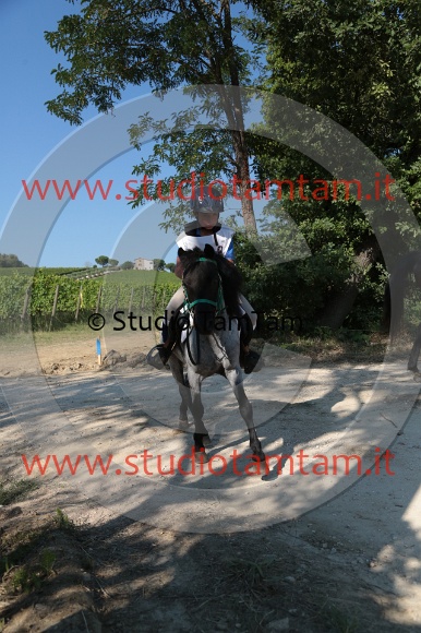MAT_6192.JPG