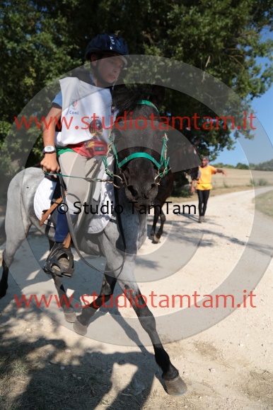 MAT_6196.JPG