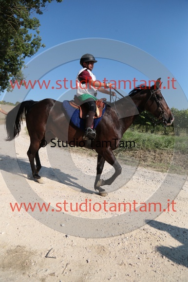 MAT_6199.JPG