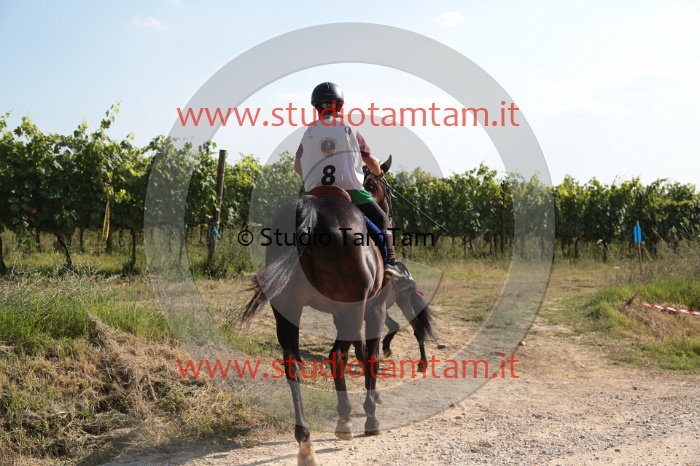 MAT_6205.JPG