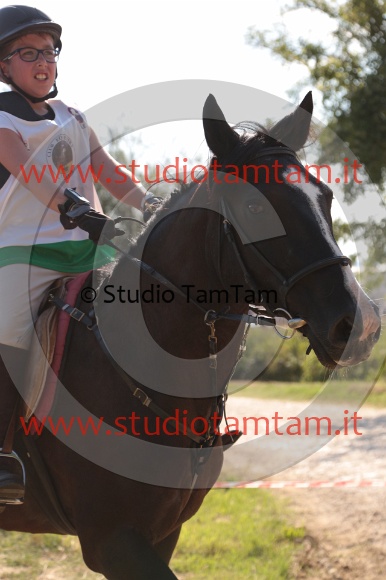 MAT_6220.JPG
