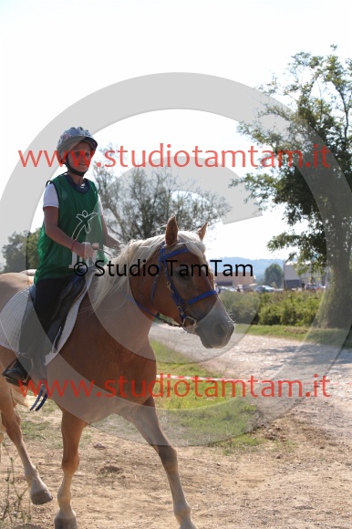 MAT_6224.JPG