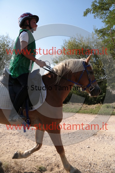 MAT_6229.JPG
