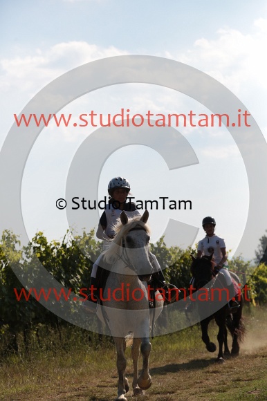 MAT_6281.JPG
