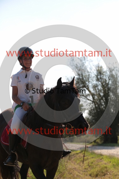MAT_6290.JPG