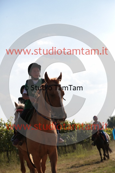 MAT_6306.JPG