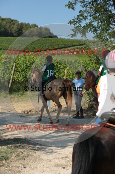 MAT_6329.JPG