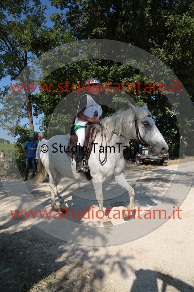 MAT_6399.JPG