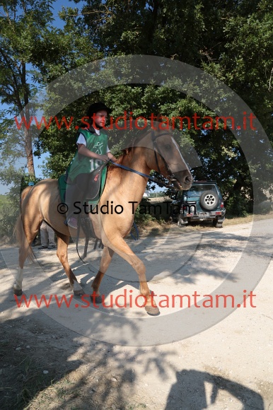 MAT_6403.JPG