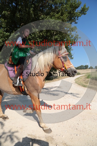 MAT_6409.JPG