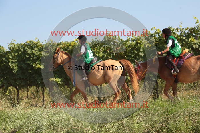 MAT_6431.JPG