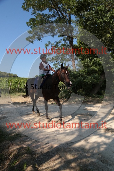 MAT_6453.JPG