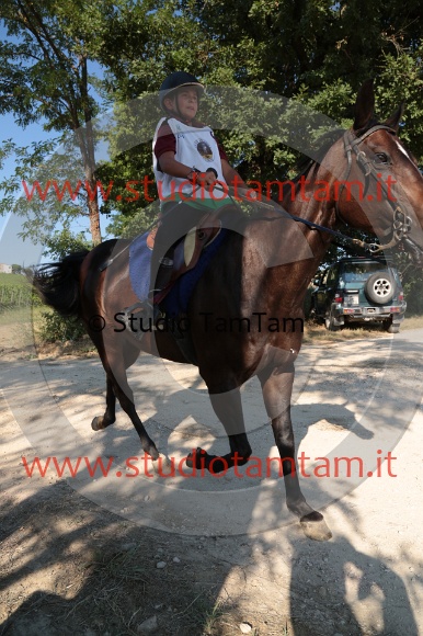 MAT_6457.JPG