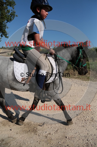 MAT_6465.JPG