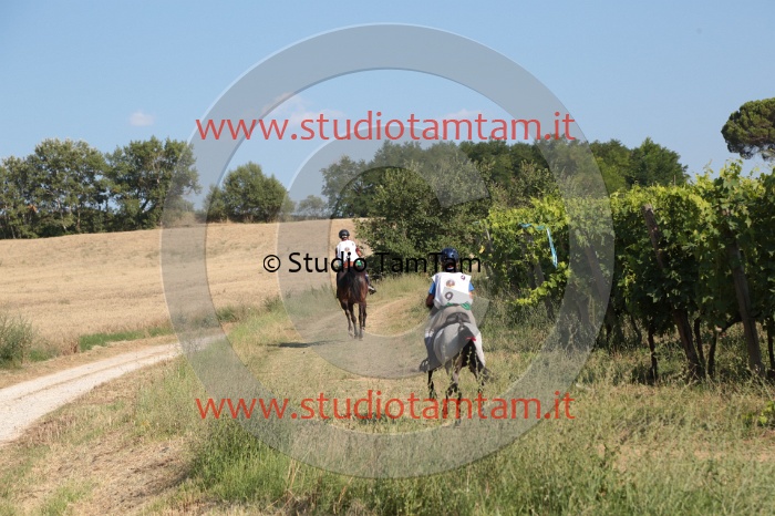 MAT_6487.JPG