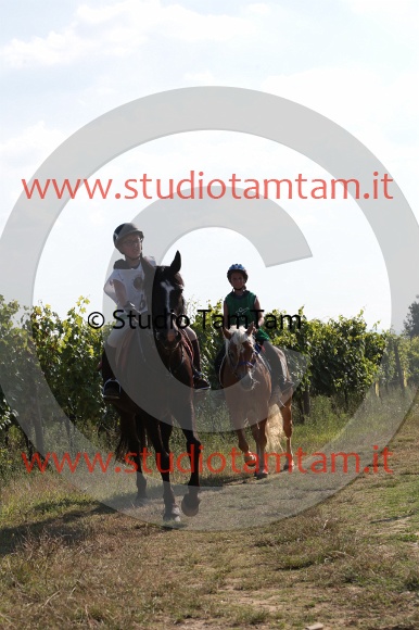 MAT_6500.JPG