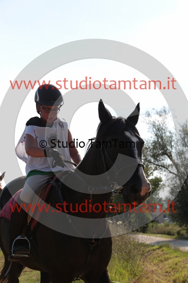 MAT_6507.JPG