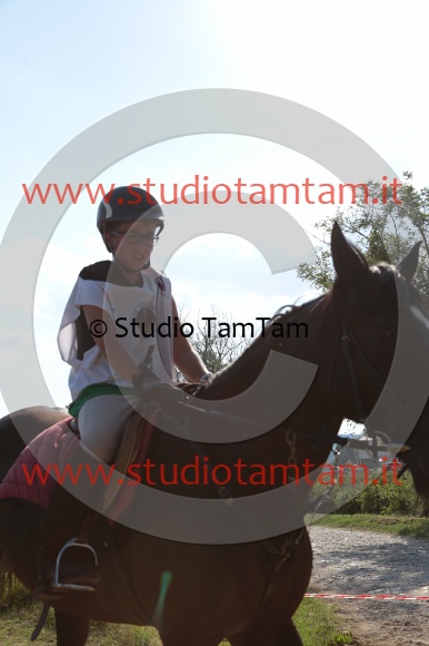 MAT_6509.JPG