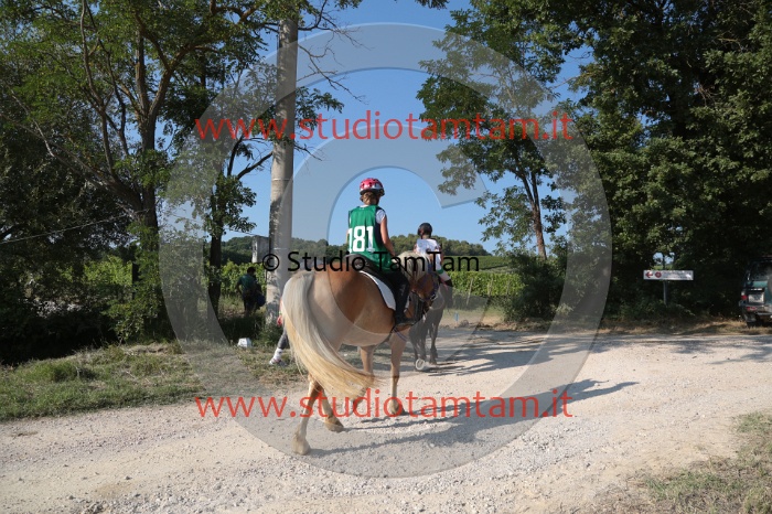 MAT_6519.JPG