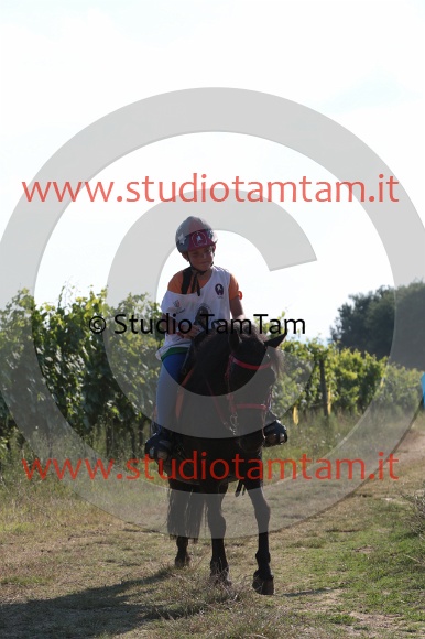 MAT_6564.JPG