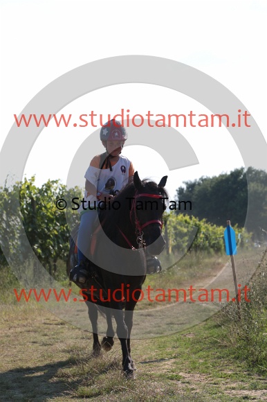 MAT_6565.JPG