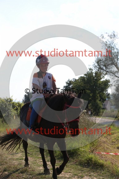 MAT_6569.JPG