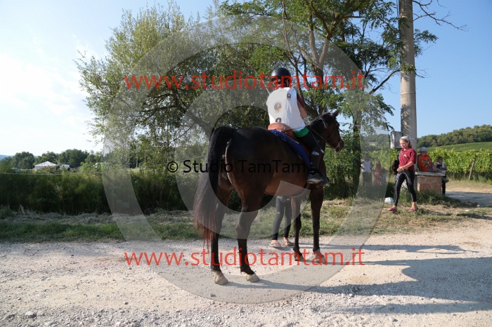 MAT_6614.JPG
