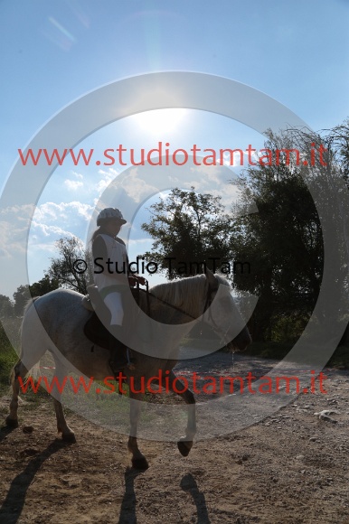 MAT_6640.JPG