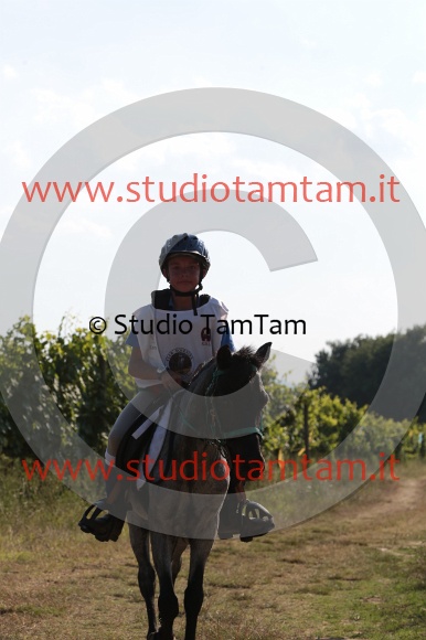 MAT_6693.JPG