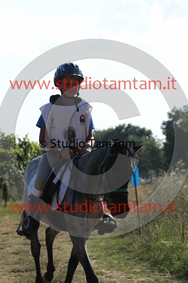 MAT_6694.JPG