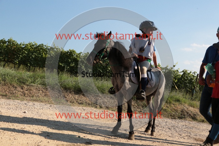 MAT_6718.JPG