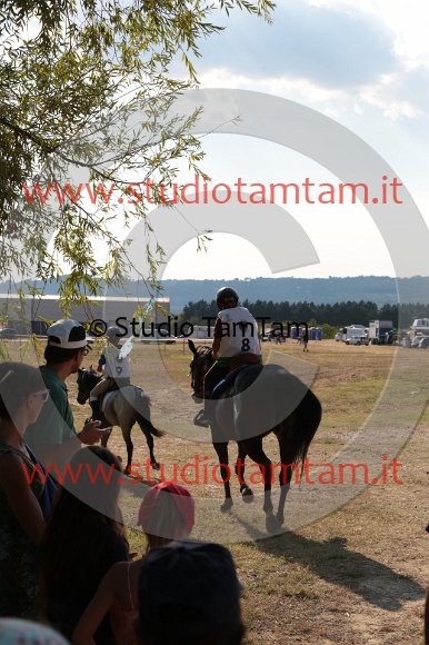 MAT_6733.JPG