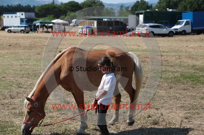 MAT_5558.JPG