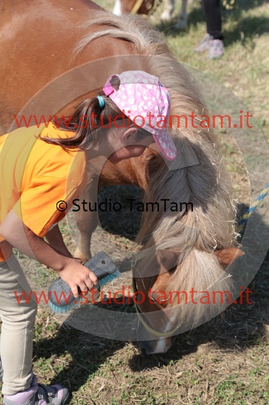 MAT_5603.JPG