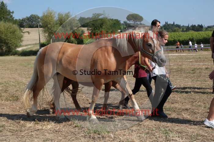 MAT_5660.JPG