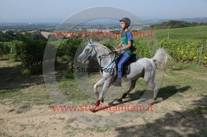MAT_7751.JPG