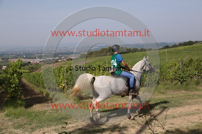 MAT_7782.JPG