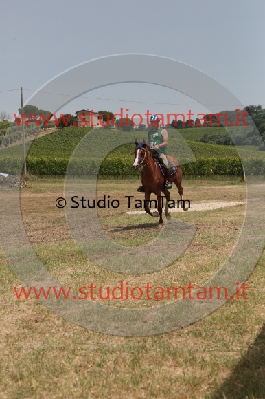 MAT_8640.JPG