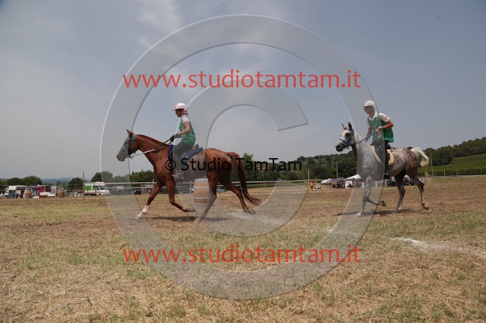 MAT_8721.JPG