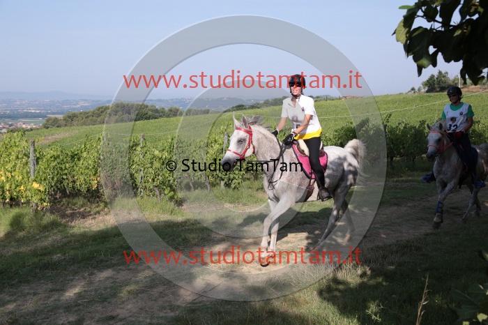 MAT_7217.JPG