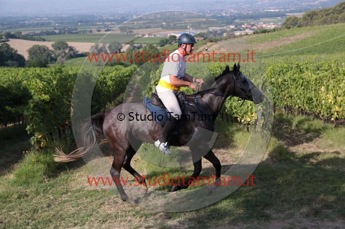 MAT_7400.JPG