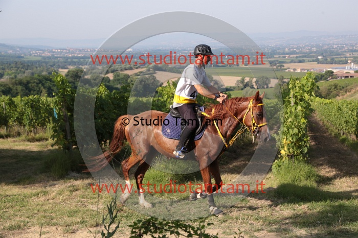 MAT_7419.JPG