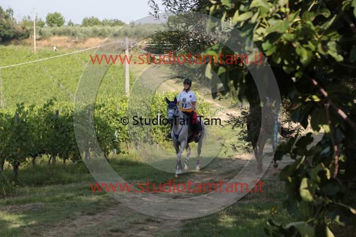 MAT_7427.JPG