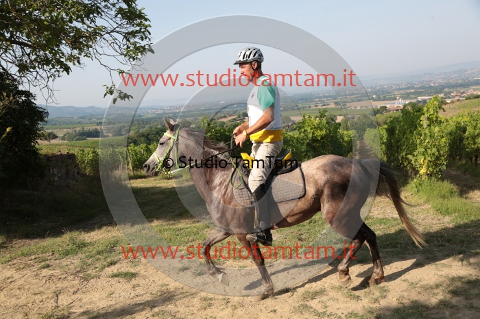 MAT_7468.JPG
