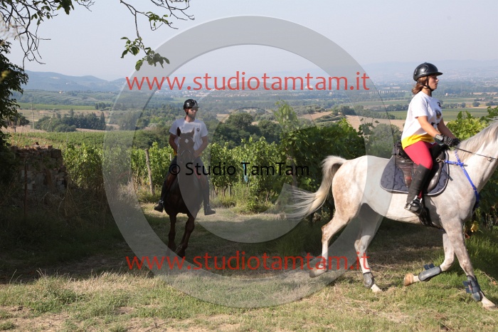 MAT_7509.JPG