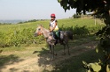 MAT_7191