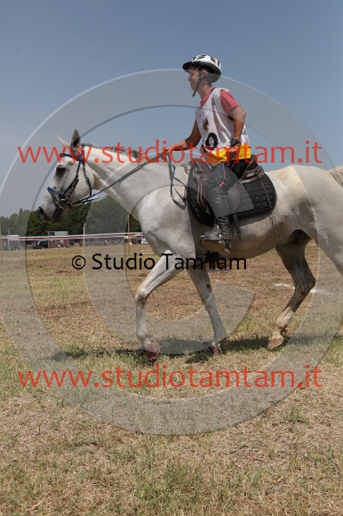 MAT_8635.JPG