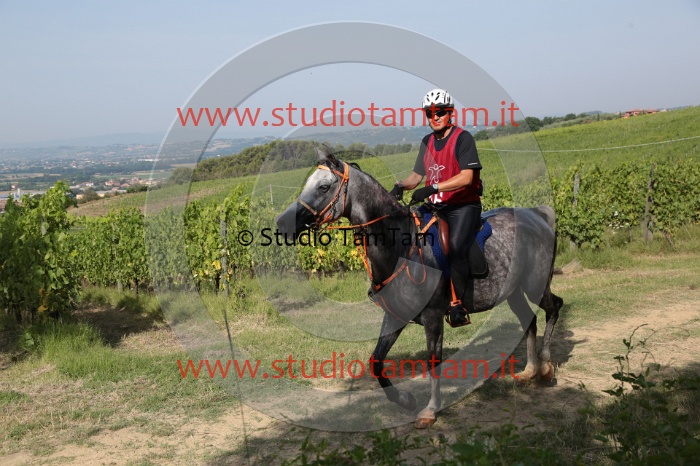 MAT_7639.JPG